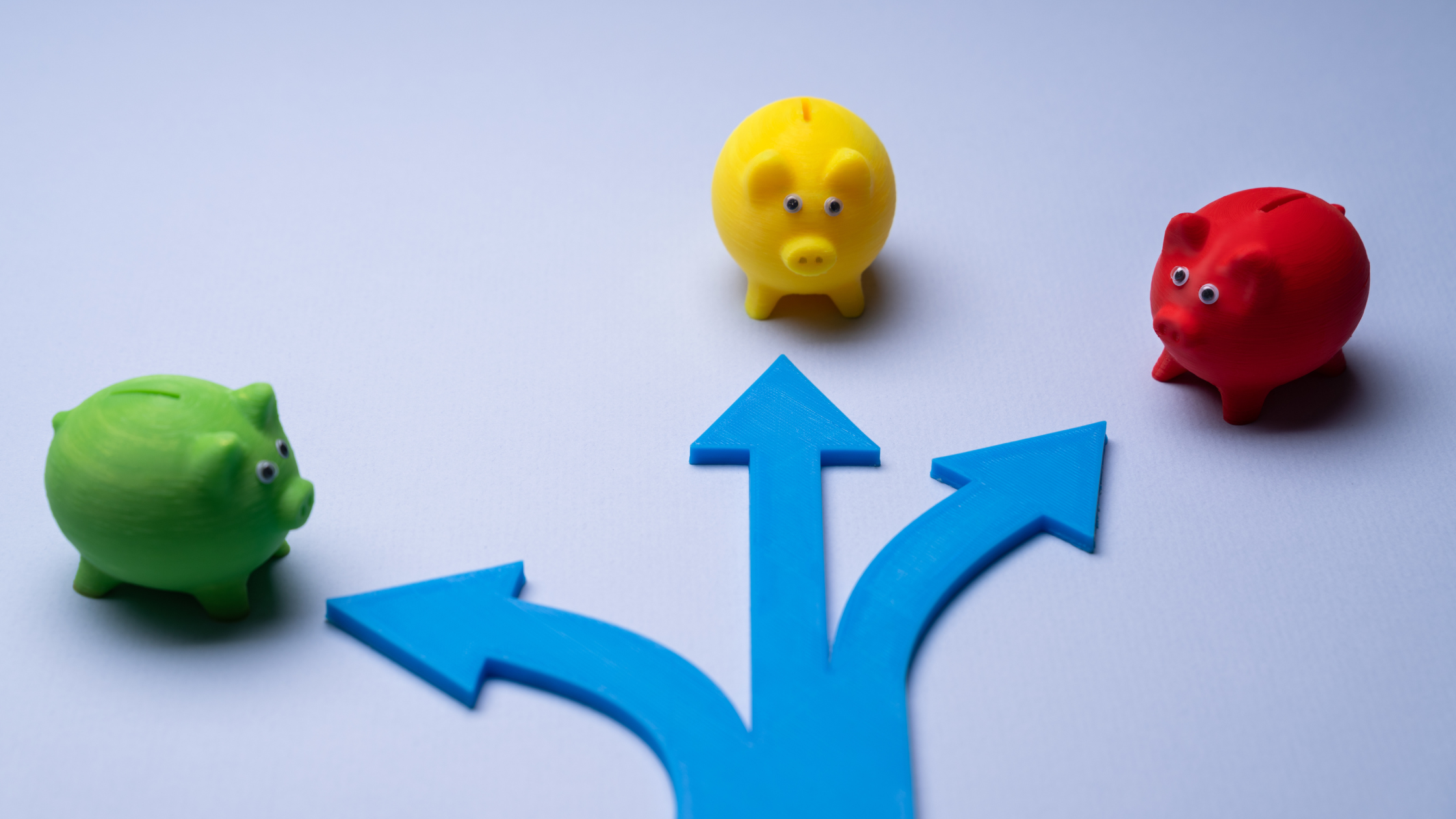 Stocks, Bonds & More: Understanding Your Investment Options