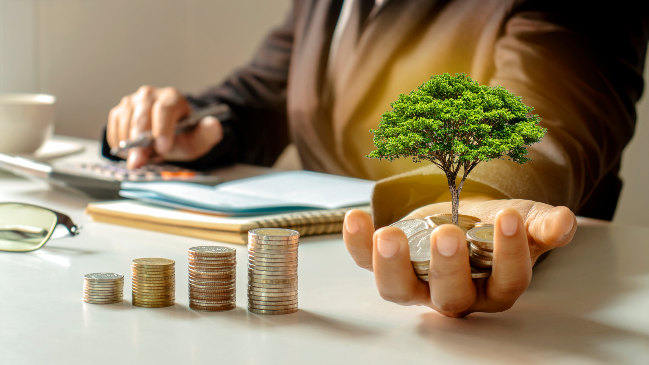 Quality Investing! A Worthwhile Investment Strategy that Focuses on Roots & Wings to Pick Stocks