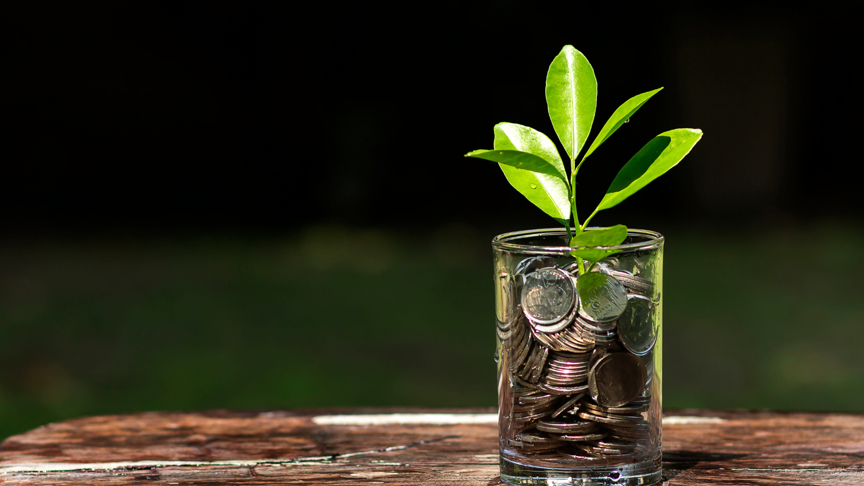 SIP Running but Market Flat for a Year: What to Do